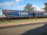 RUMO HTT-065648-8